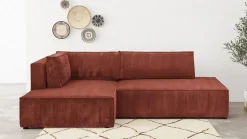 Barani
