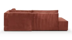 Barani