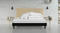 Clean Confort