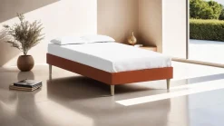 Dina