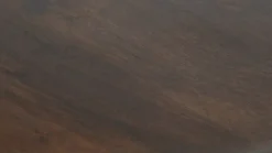 Gogo