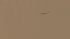 Jet