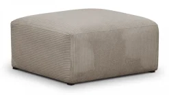 Modulo New
