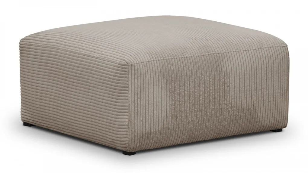 Modulo New