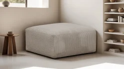Modulo New