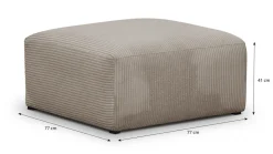 Modulo New