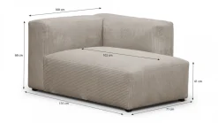 Modulo New