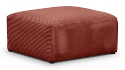 Modulo New