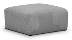Modulo New