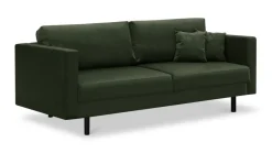 Pia