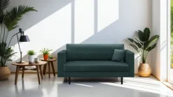 Pia