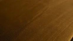 Rodeo