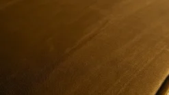 Rodeo