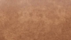 Rodeo