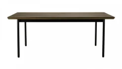 Sixtine VI