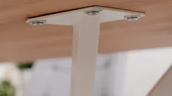 Vélia