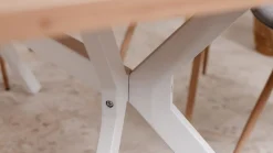 Vélia